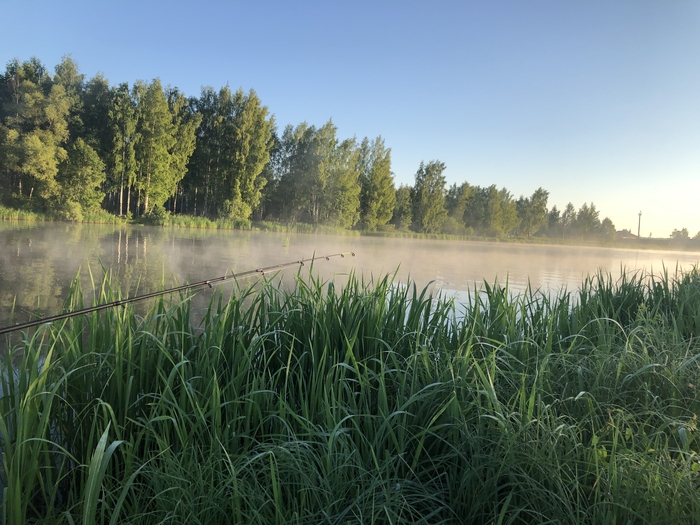 ����, ��������