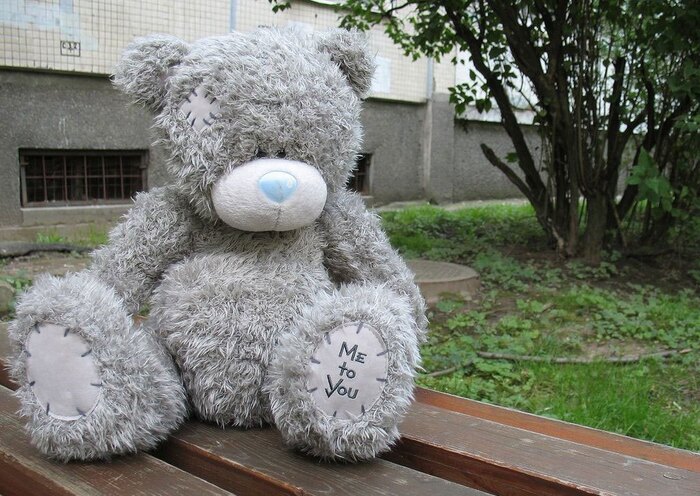  tigretskaya   ,   , , 2000-,   