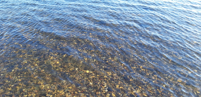 ����-����. ������������