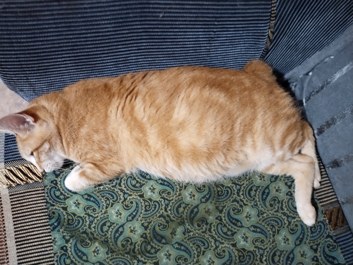 ������������� ����������