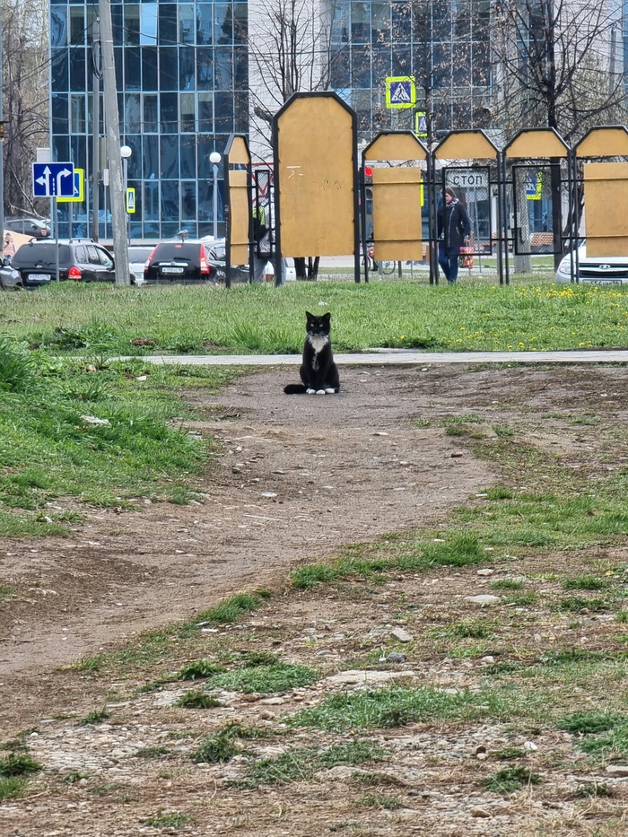 ������ ���������