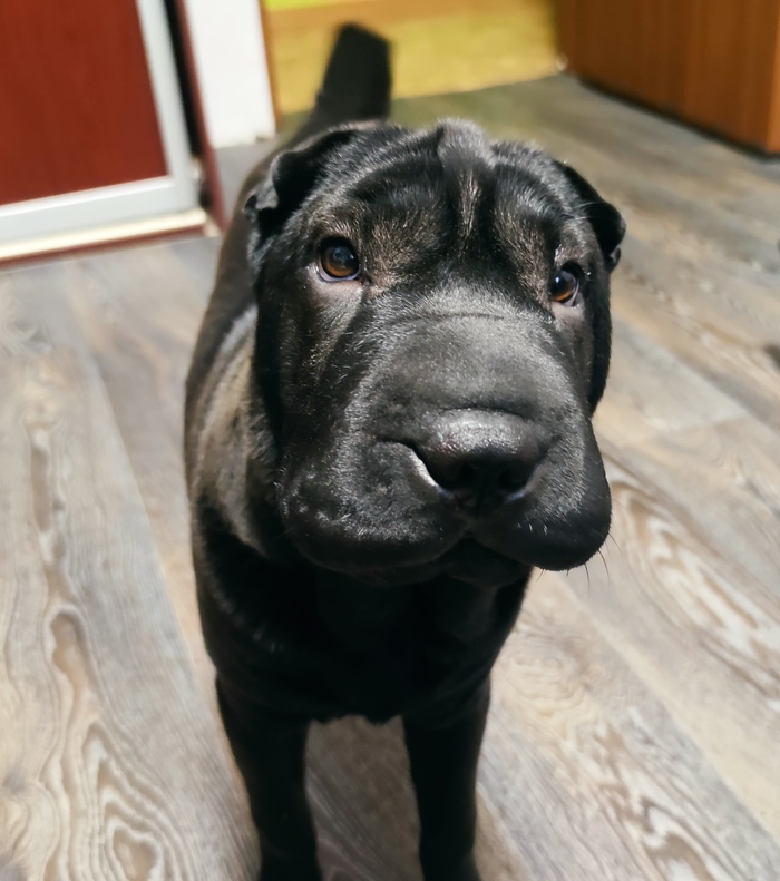 Знакомство