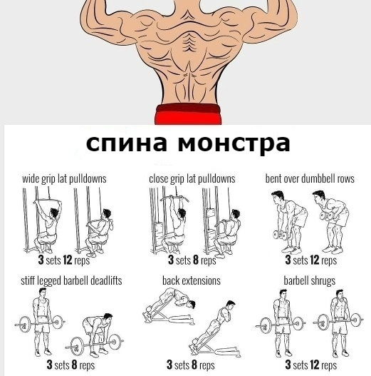 Эффективные упражнения на все группы мышц | Пикабу