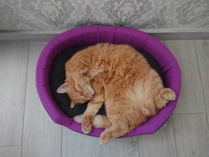  &quot;   ,    &quot;  