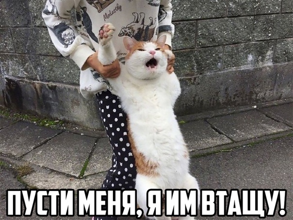 Да я и старый то не знаю как внутри выглядет