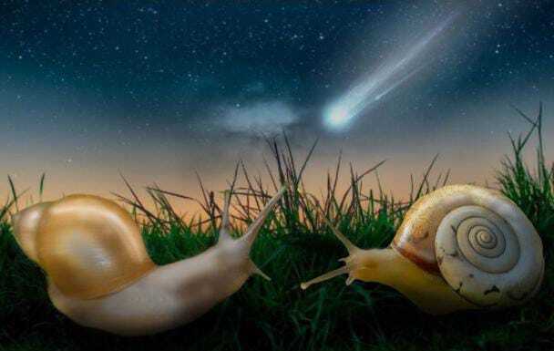 Улитки - Бойцы: Стань Быстрым! (Пролог) (Не судите строго писателю 10 лет)