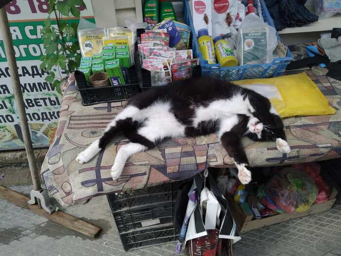 Коктебельский продавец!)))