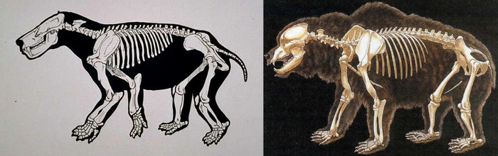 Титаноиды: Первые млекопитающие размера XXL. Появились через 5 миллионов лет после динозавров! Млекопитающие, Вымершие виды, Книга животных, Яндекс Дзен, Длиннопост