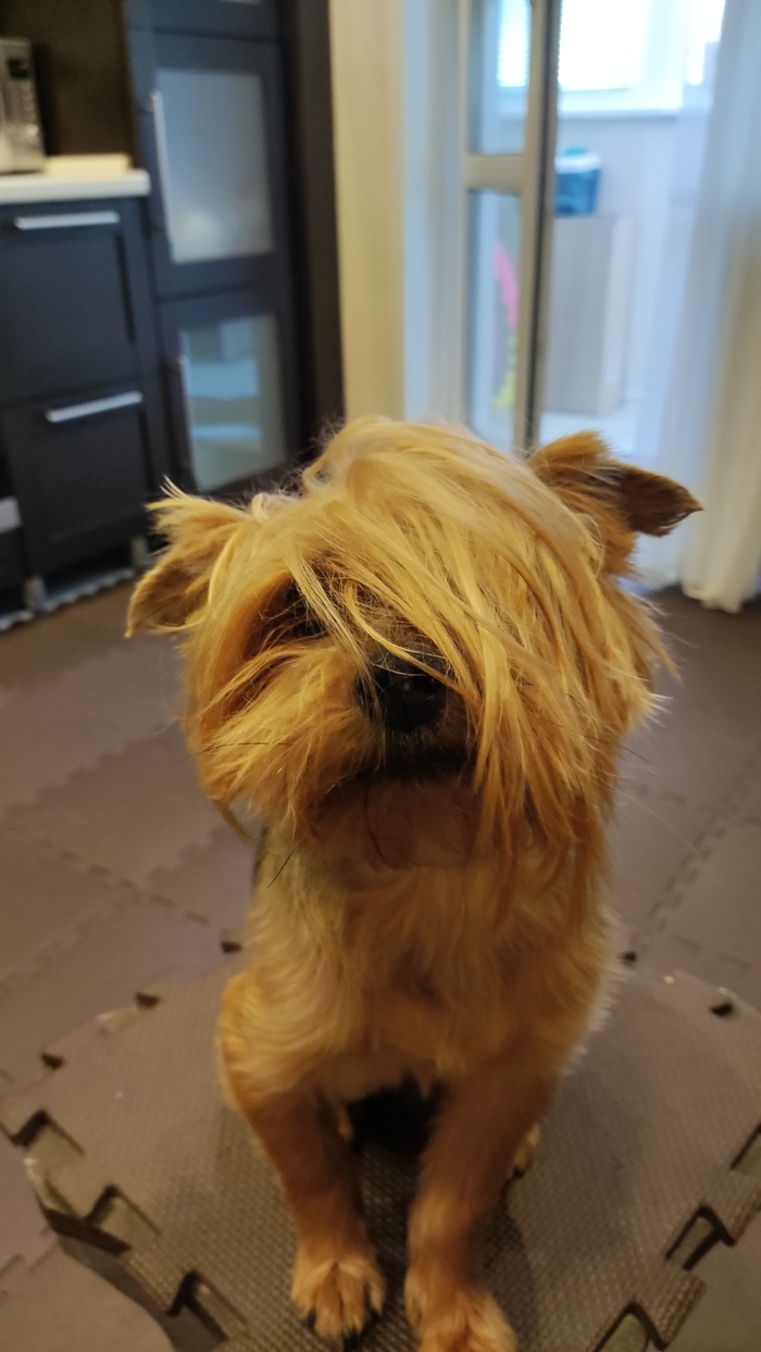 ������ �� 2007