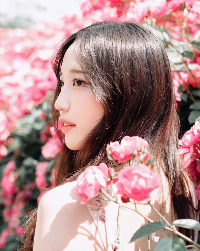 Beautiful flower , , , 