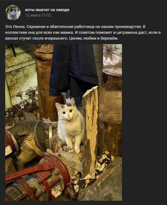 Кот работяга на заводе. Котик на заводе трудится фрик пати. Котик на заводе трудится фрик пати. Котенок котэ. Коты в цехе.