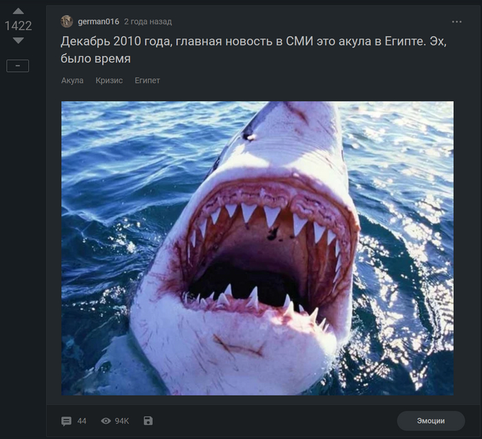 Ответ на пост «Акула в Хургаде откусила туристке руку и ногу, позднее пострадавшая скончалась в больнице»