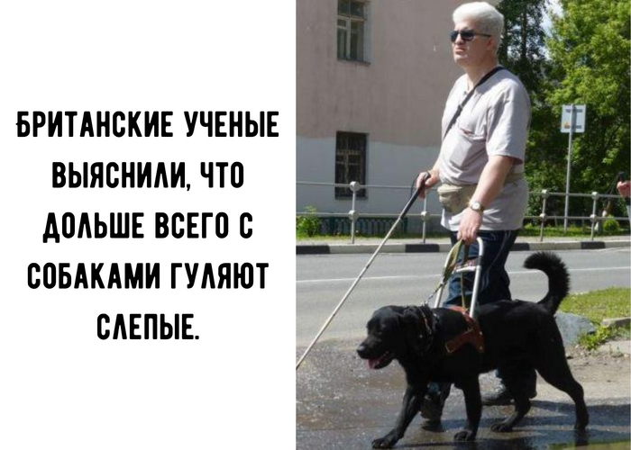 Ох уж эти ученые