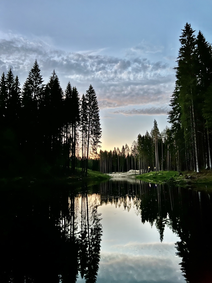 Просто ночь под Питером