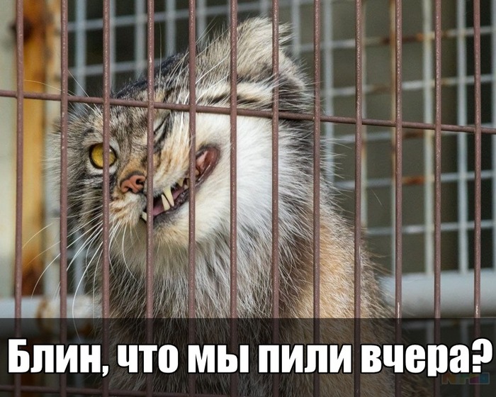 - ,  ,  ,  ,  , ,   , 