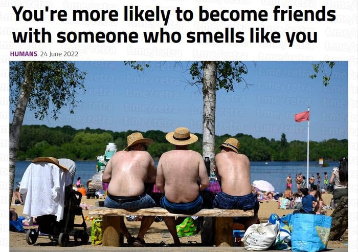 Исследование показало, что люди выбирают друзей по запаху Дружба, Запах