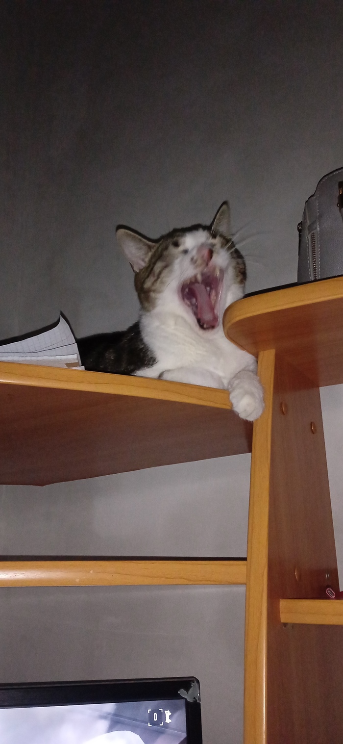  , , , 