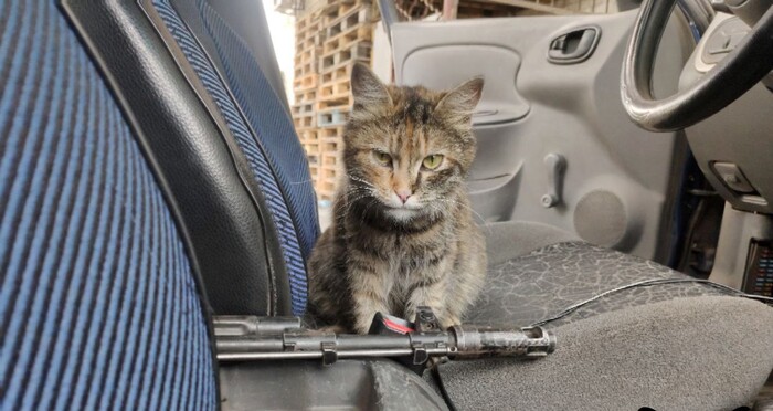 ������ ������ �������������� �����, � �� � ������ ������ ���� ����� !