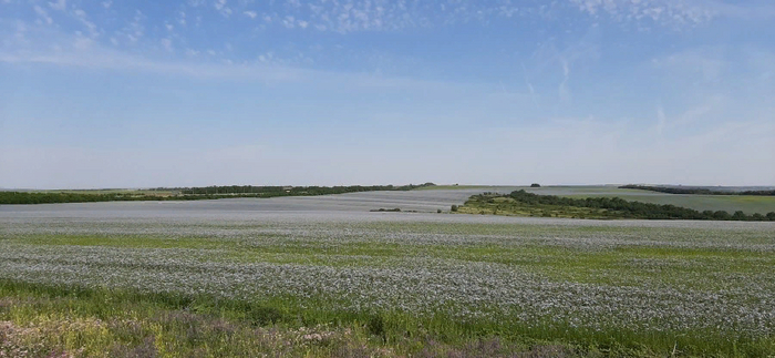 ���� ��� ������� � ���