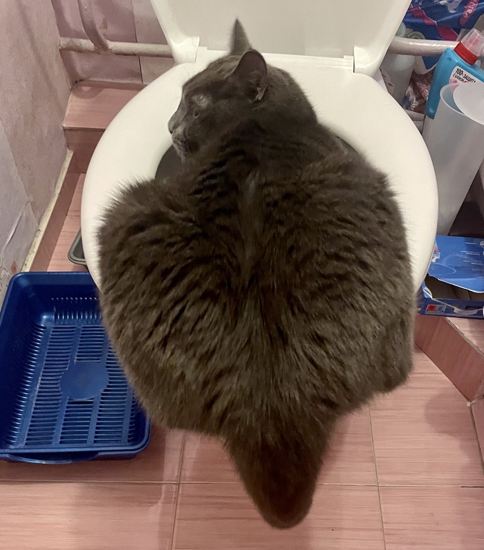   ,       ,  , , , , , , , , , 