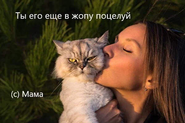 Ответы chelmass.ru: Очень хочется услышать эротическую сказку на ночь Кто расскажет?