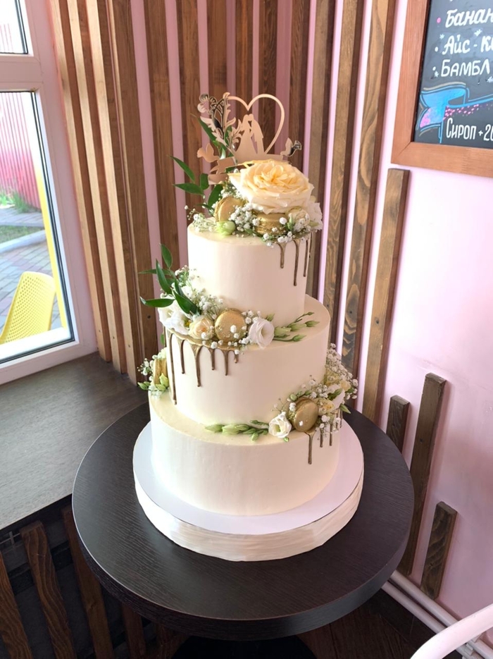 ��������� ���������