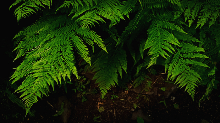 Тропами Таганая