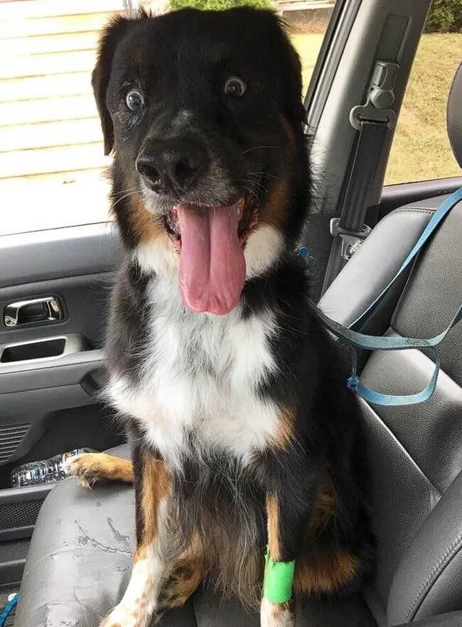 Женщина за рулем