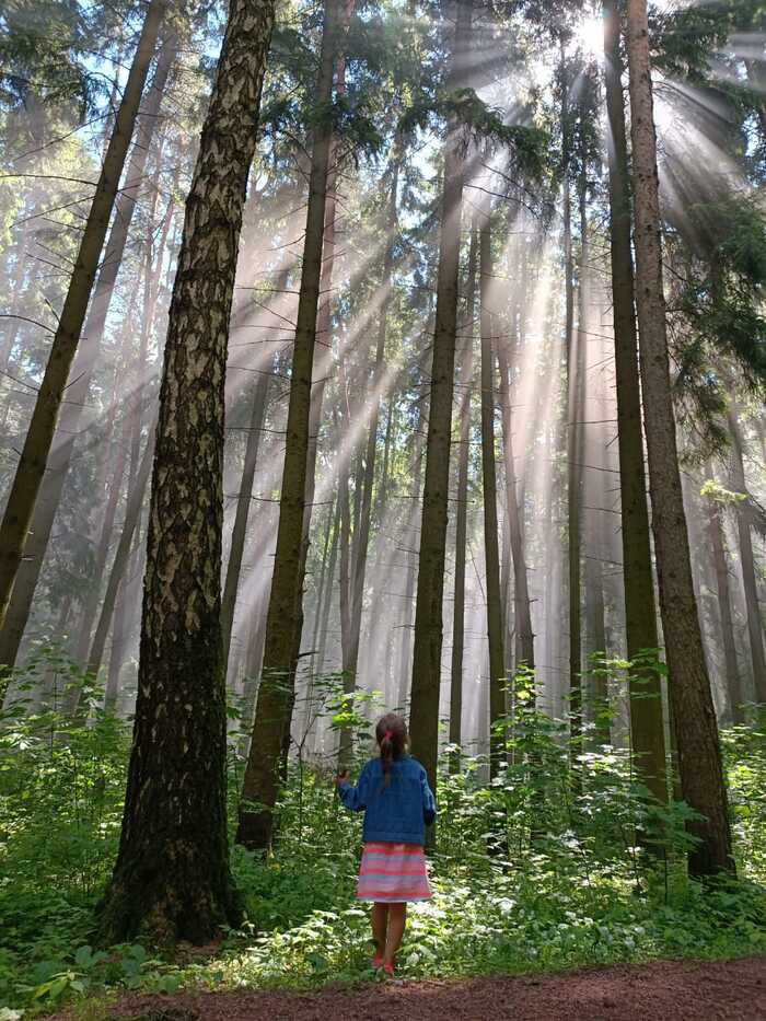 ��������� ����