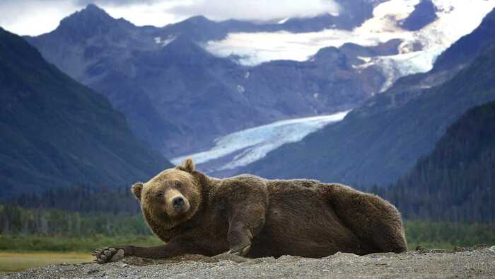 Ну-ка сфоткай богиню гор