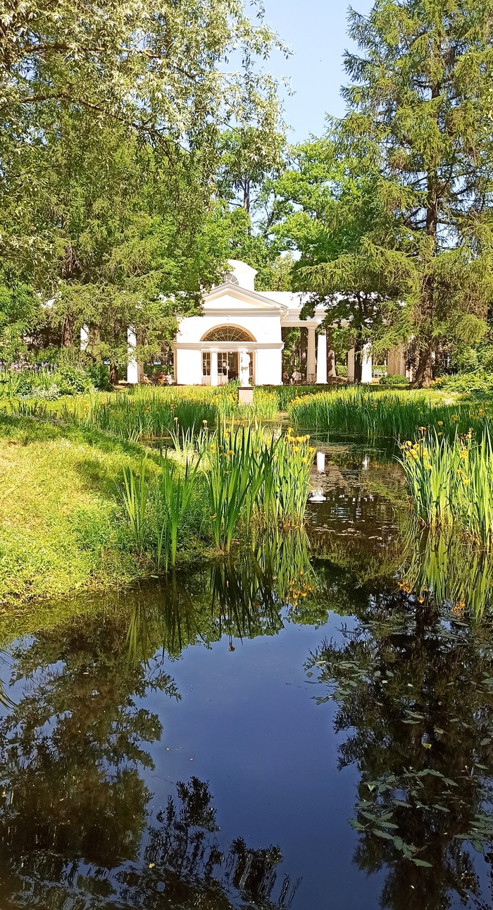 ����-�������