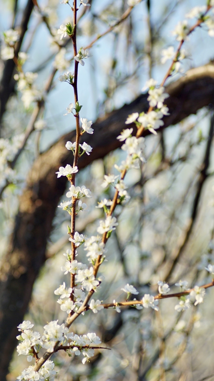 Интересный цвет