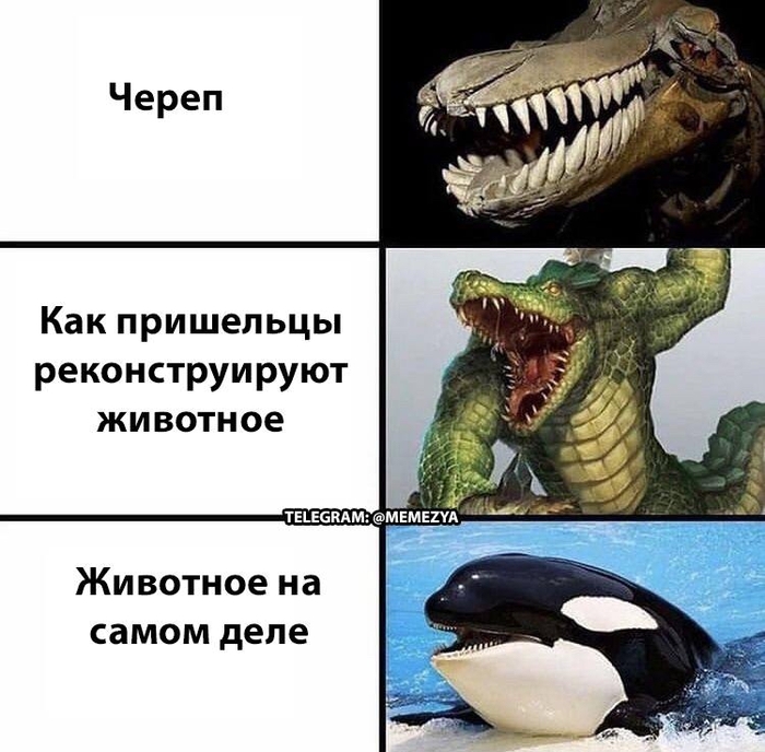 ��� ��� ��������