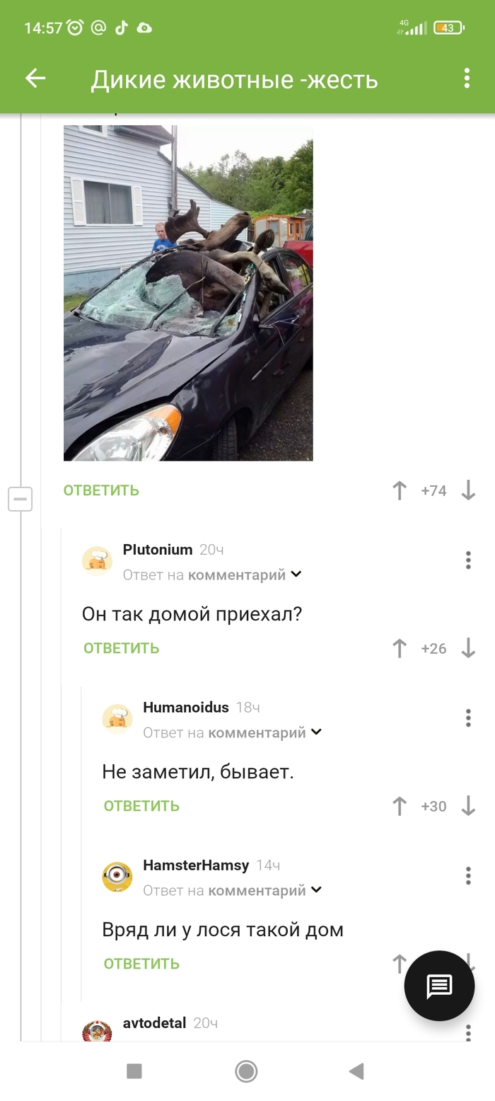 ������ ����