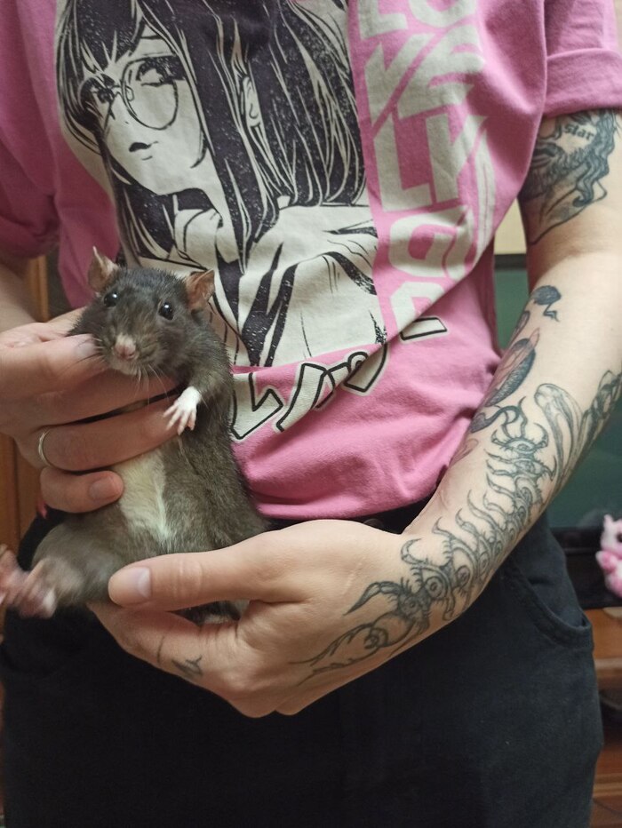 САМАРА, ЛЕКАРСТВА