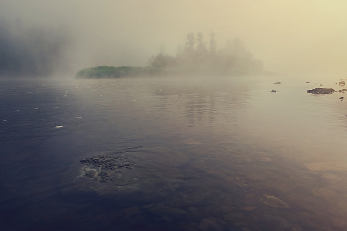 Крейсер в тумане