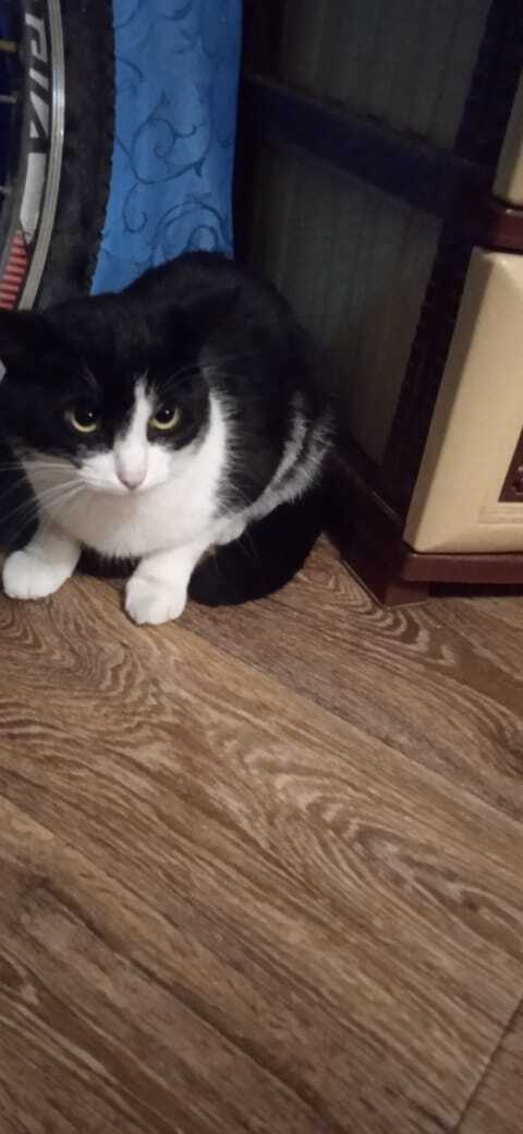  , , - [  ]  , , ,  ,   , 