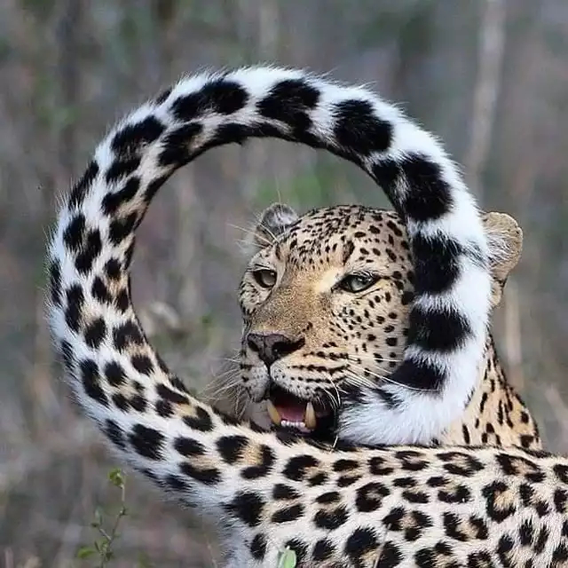 Удачный кадр