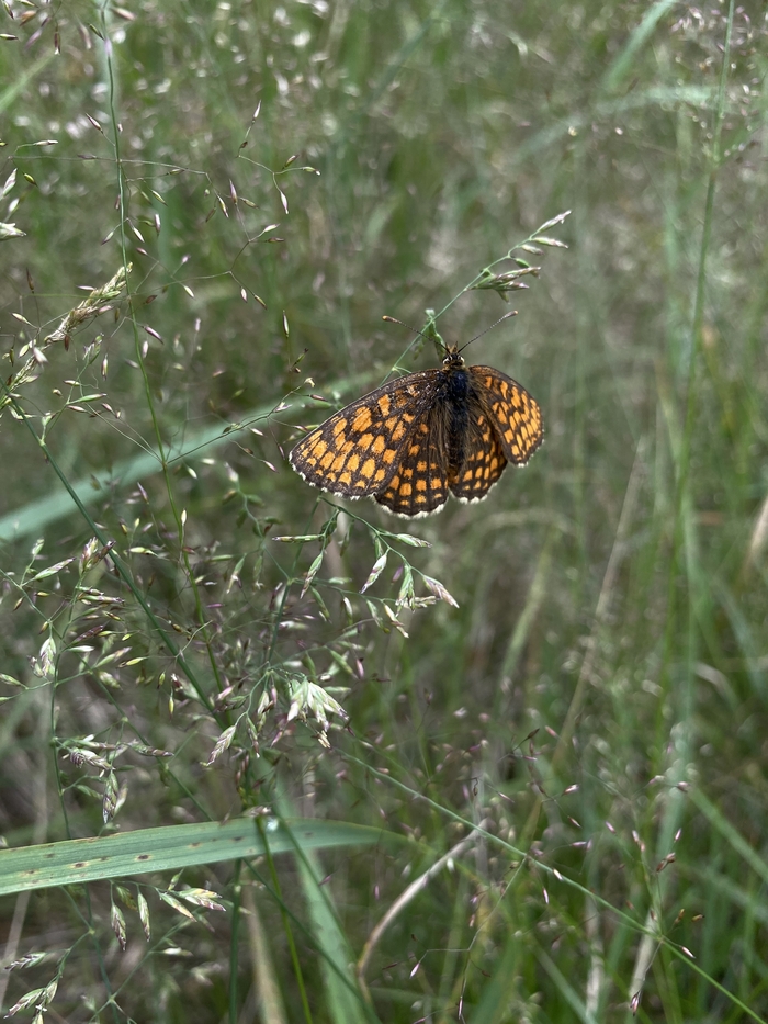 Красотища природы