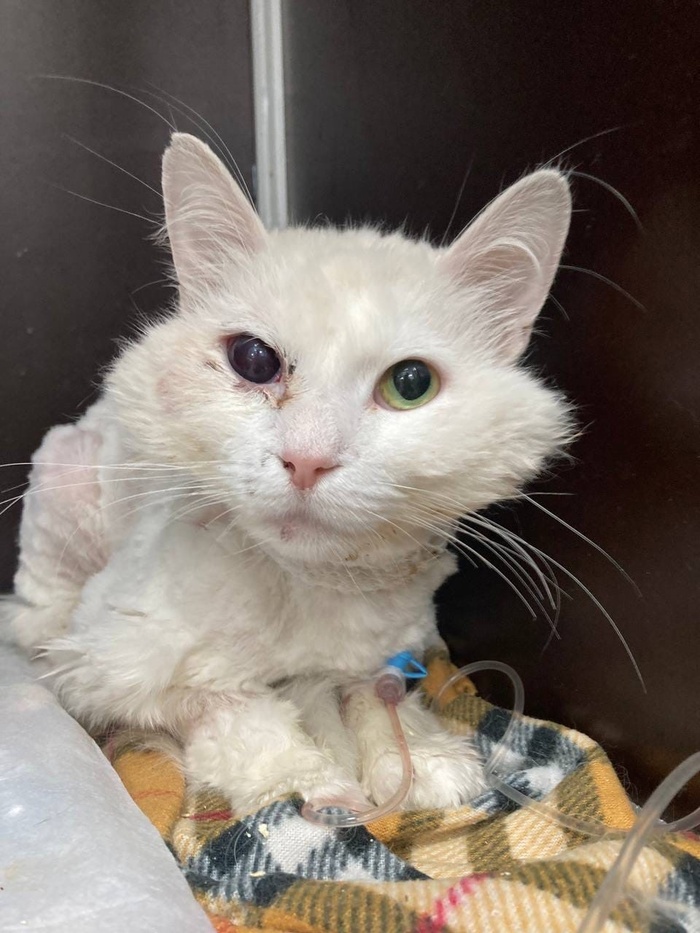 Продолжение поста «Прилетел откуда не ждали»