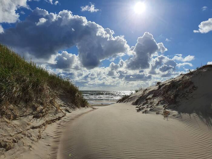 Куршская коса сегодня вечером