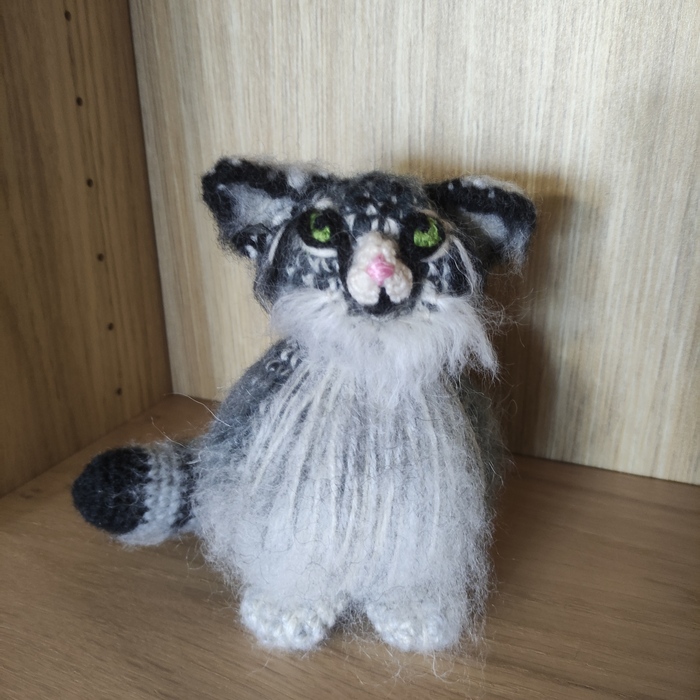 Манул Иммануил здоровается с Пикабу