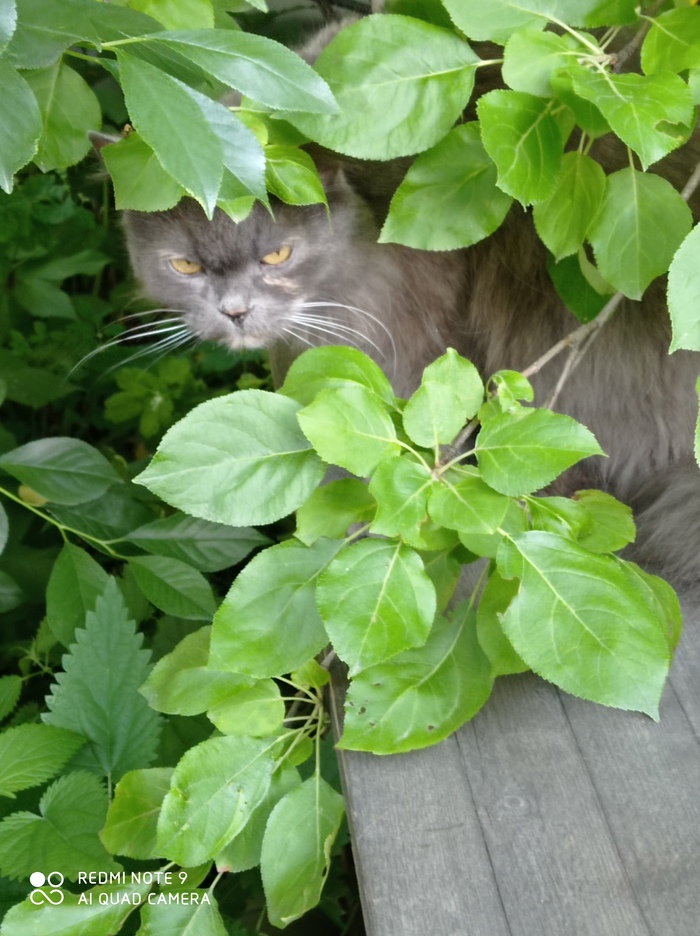 ��� ������� ��������