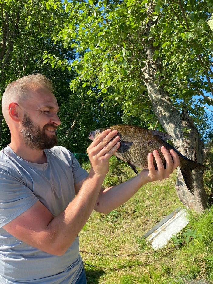 ����������� ������� 2