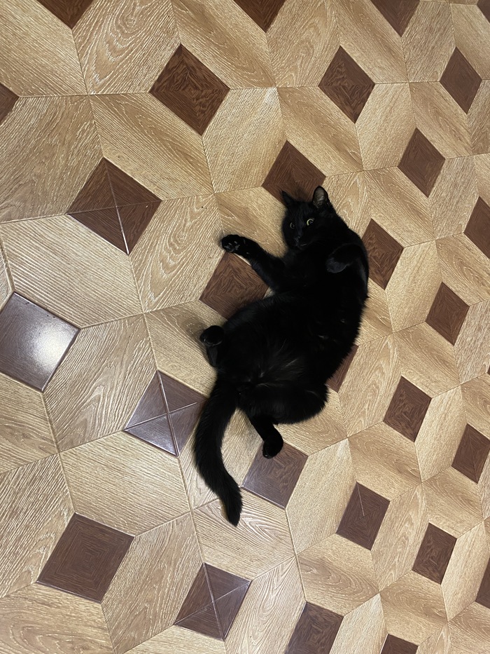 ׸���� ���