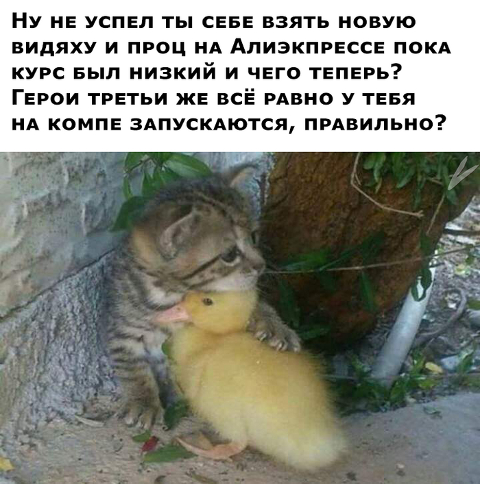  ... ,   , ,  , AliExpress, ,  , 