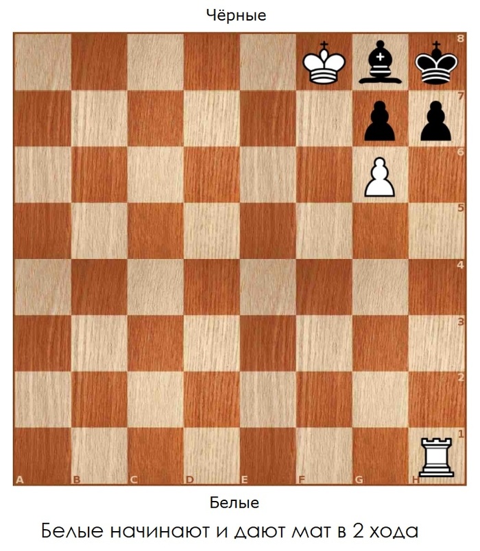 Задача для новичков #32