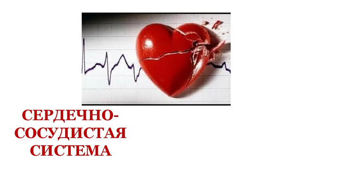 Как подарить вторую жизнь своей сосудистой системе?