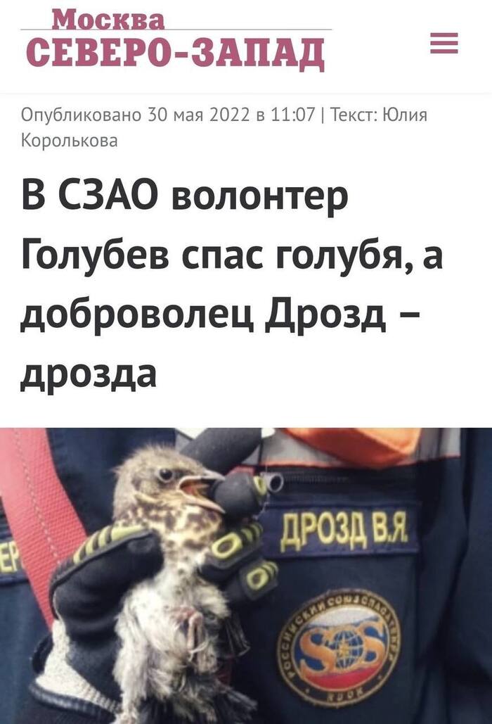 Ситуация, когда комментировать - только портить