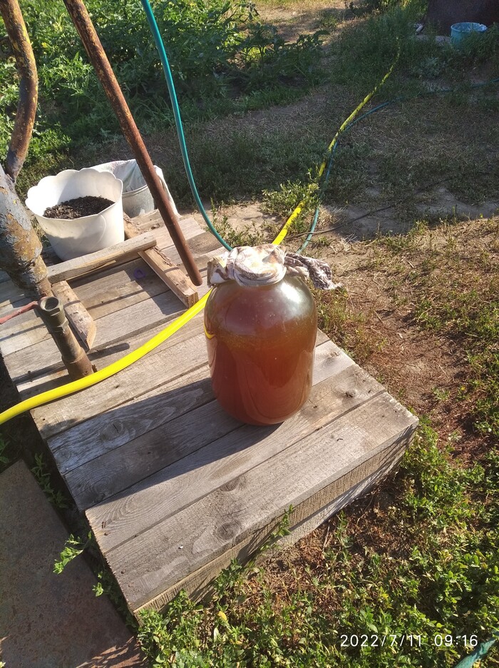 Рецепт пива домашнего